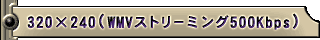 320�~240